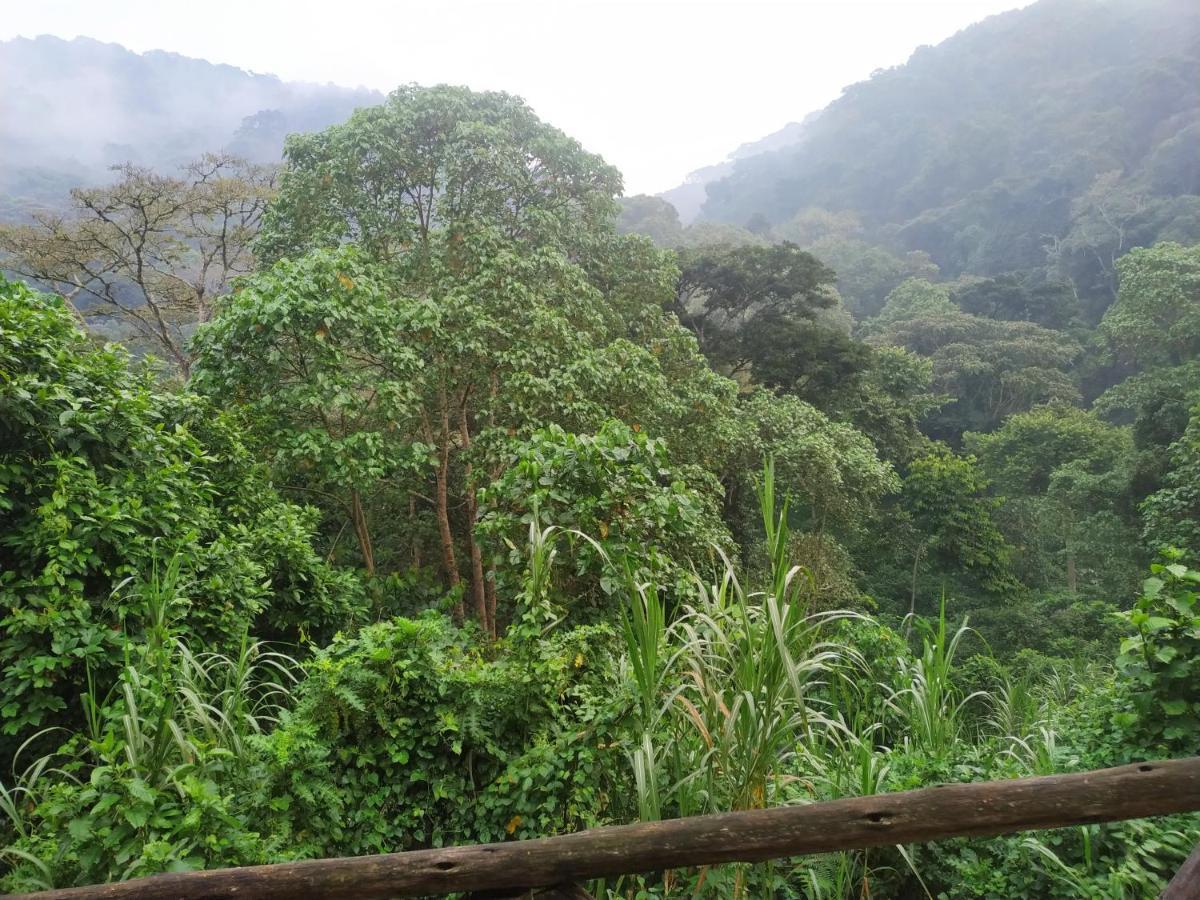 Gorilla Hills Eco-lodge Kisoro Exterior foto