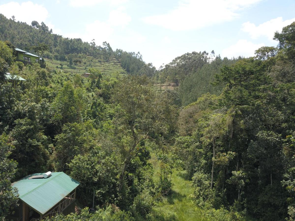 Gorilla Hills Eco-lodge Kisoro Exterior foto