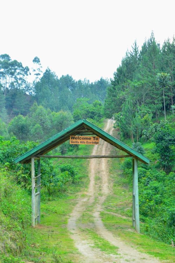 Gorilla Hills Eco-lodge Kisoro Exterior foto